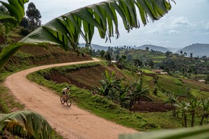 Twee fietswinkels, een jungle en een droom op wielen