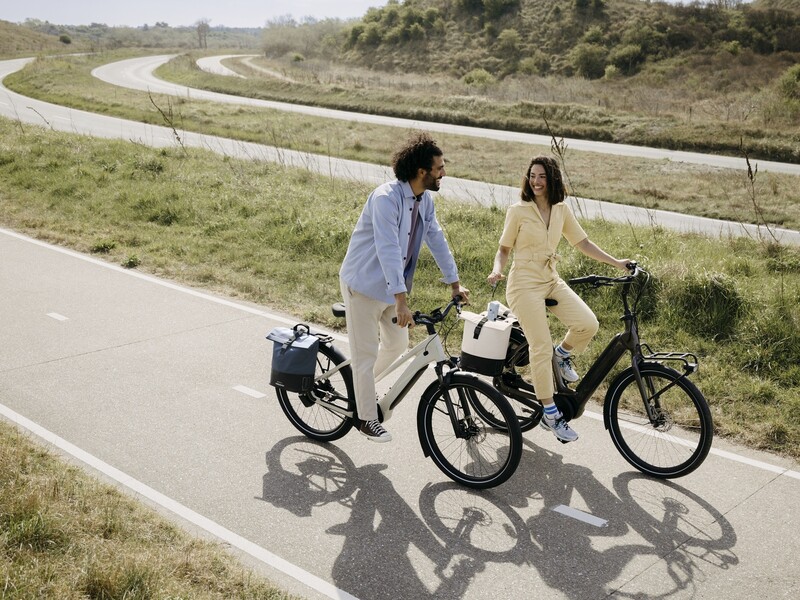 Basil Cove tijdloze tas voor de stadsfietser