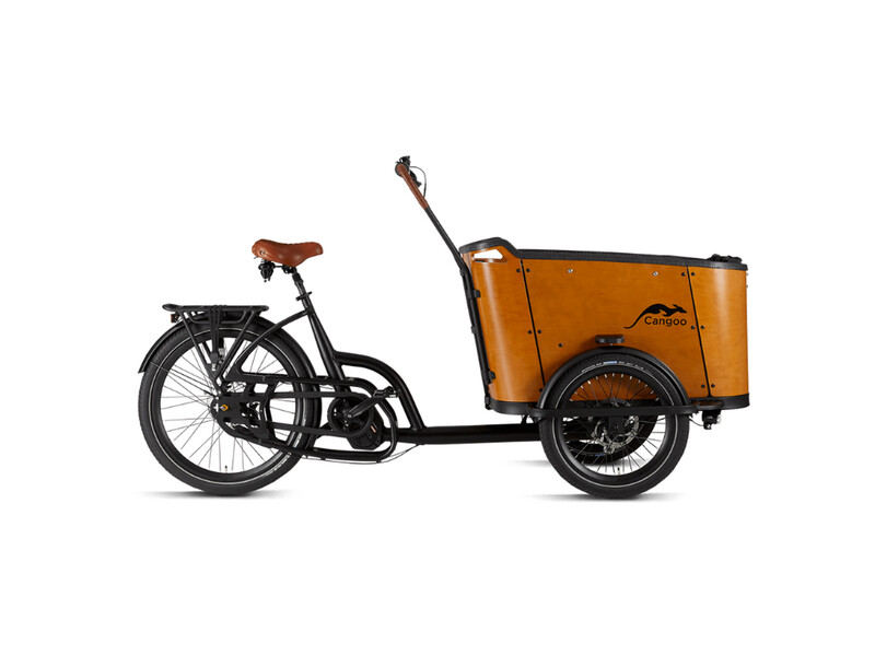Veiligheidswaarschuwing voor Cangoo Buckle en Cangoo Noon