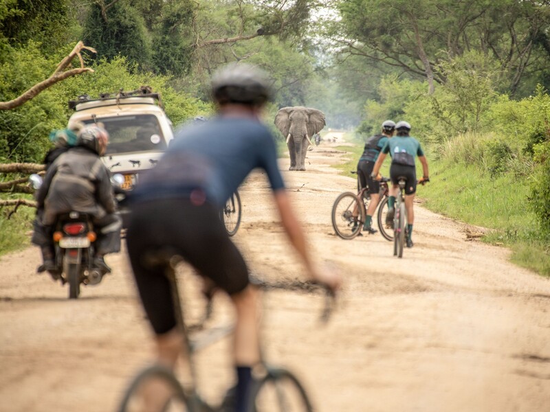 Twee fietswinkels, een jungle en een droom op wielen